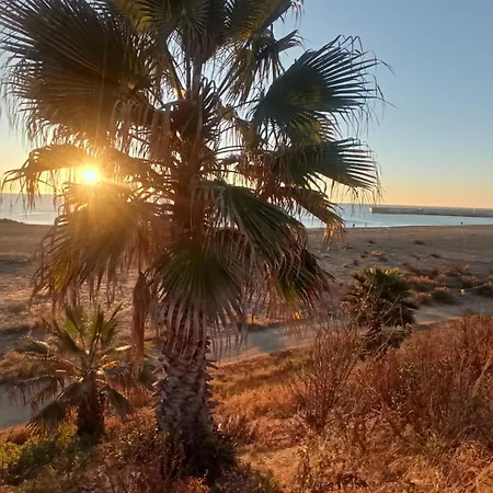 Barcelona Boat Experience 船屋 *